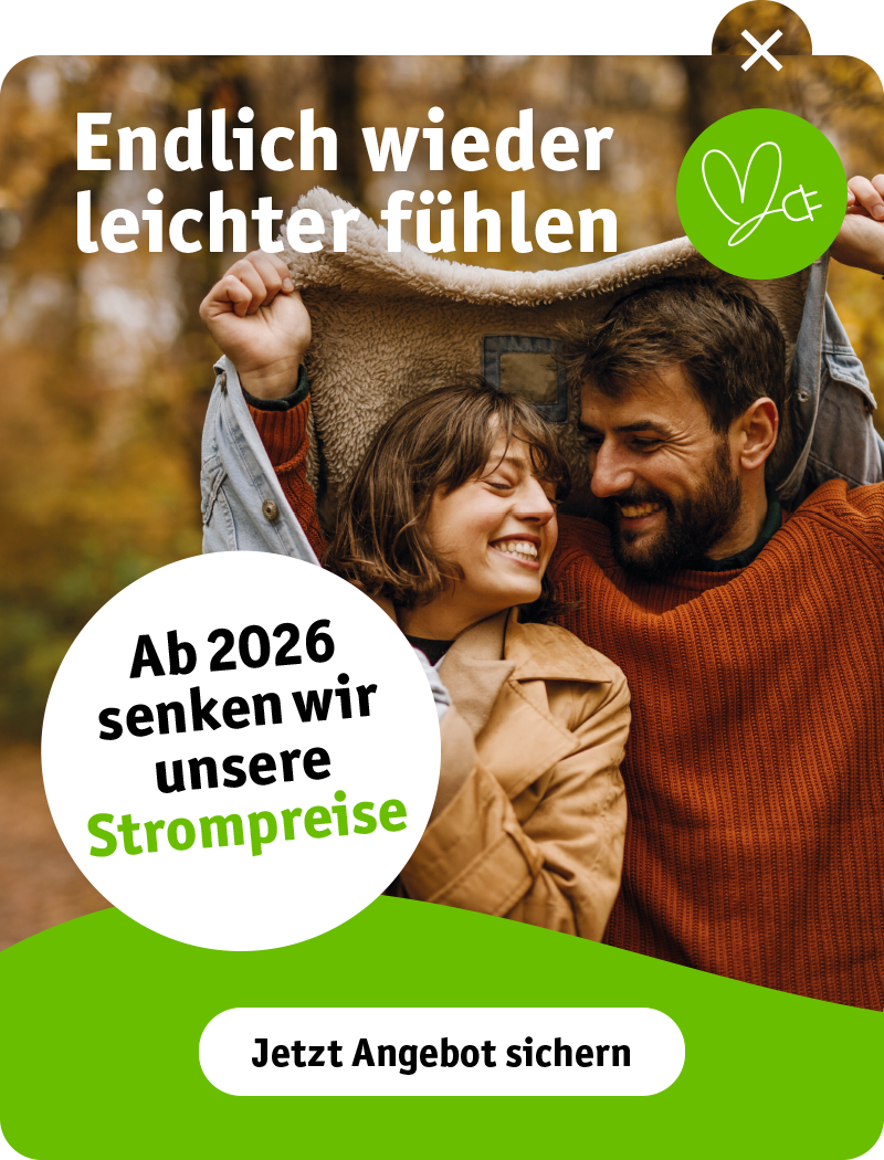 Popup Banner Strompreissenkung