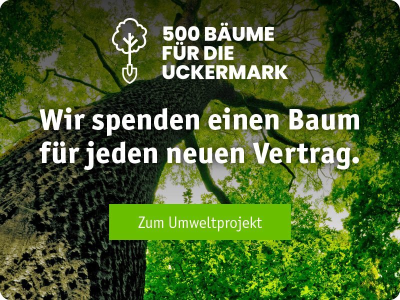 Banner Baumpflanzprojekt Schwedter Kabelnetz mobile
