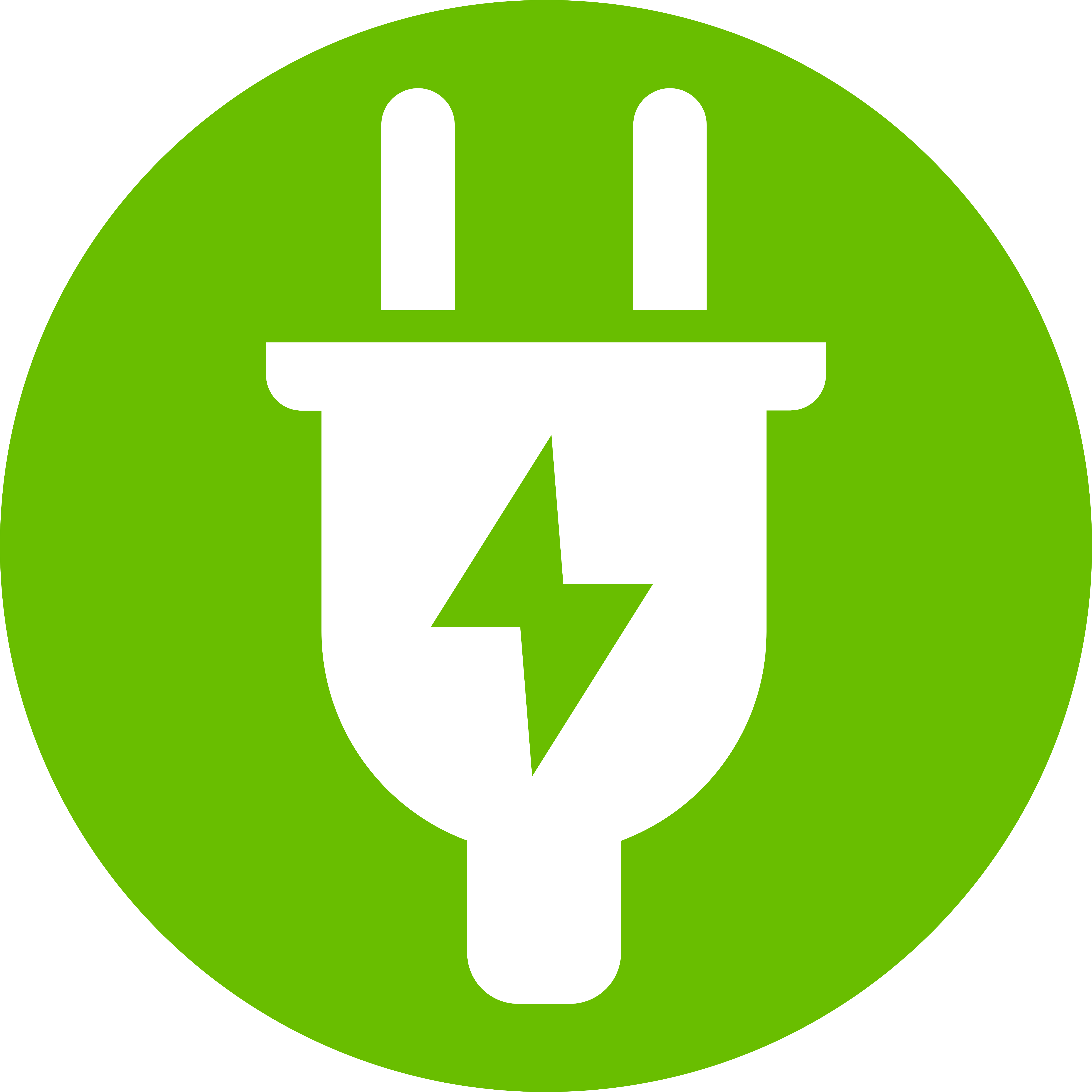 Icon <strong>Natur</strong>Strom